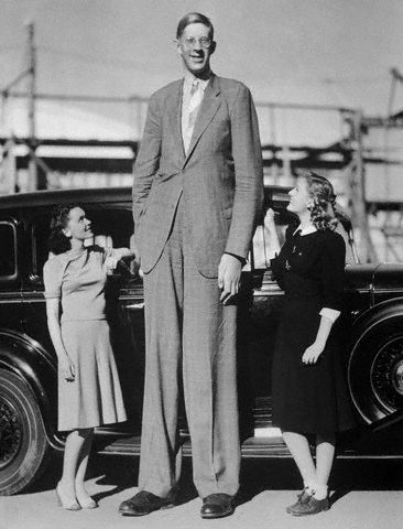 Cамый высокий человек в мире